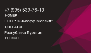 9955397613